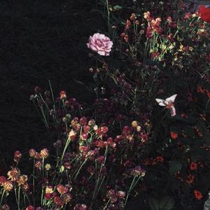 成人做爰黄✌片视频动
